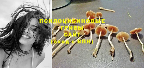 не бодяженный Переславль-Залесский