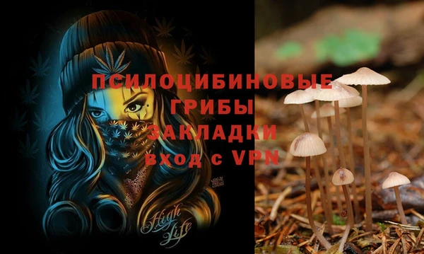 мдпв Остров