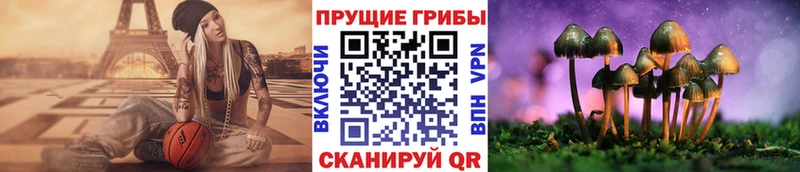 купить наркотики сайты  Ясногорск  ссылка на мегу ССЫЛКА  Псилоцибиновые грибы прущие грибы 
